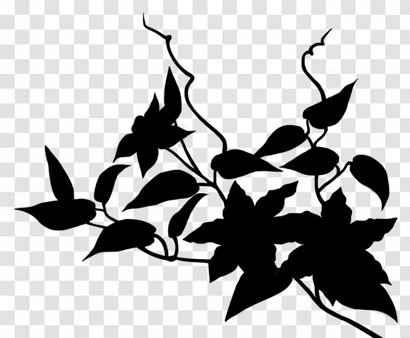 Black & White - Monochrome Photography - M Clip Art Leaf Pattern Plant Stem Transparent PNG