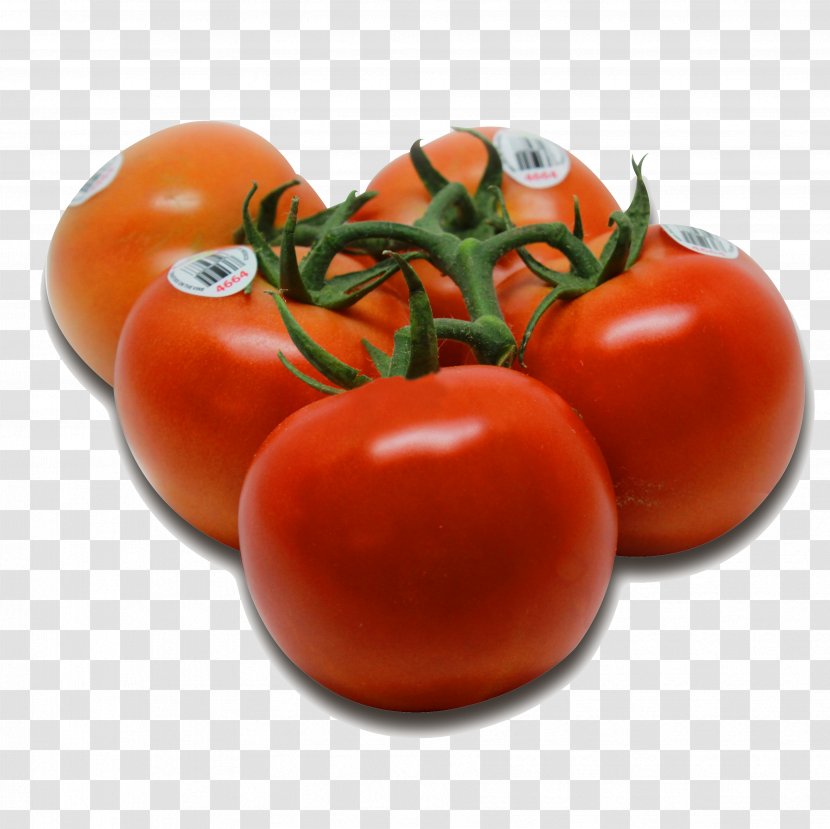 Plum Tomato Bush Vegetarian Cuisine Food - Shrub Transparent PNG