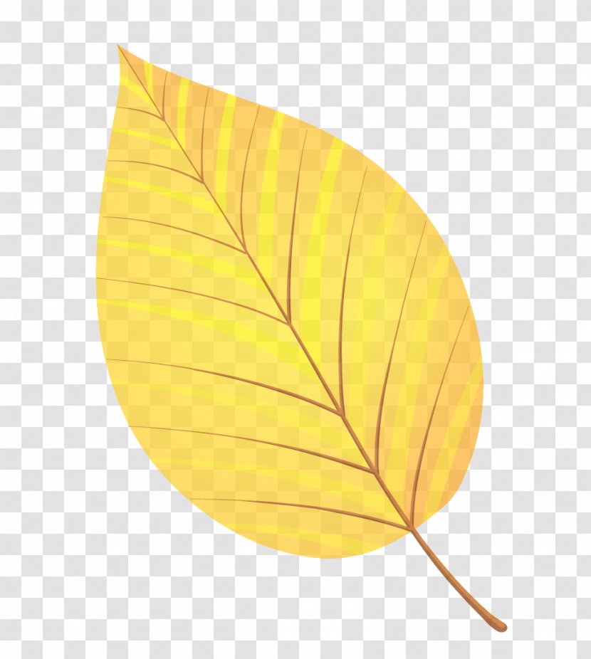 Orange - Yellow - Flower Tree Transparent PNG