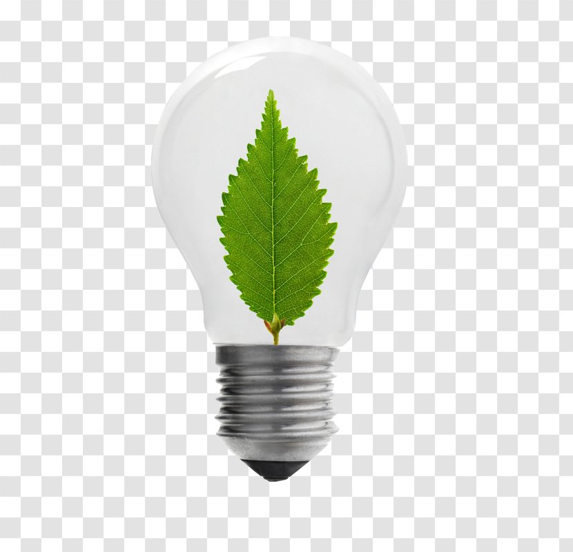 Incandescent Light Bulb Energy Conservation - Stock Photography - Saving Bulbs Transparent PNG