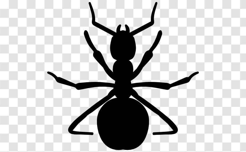 Ant Insect - Organism - Ants Vector Transparent PNG
