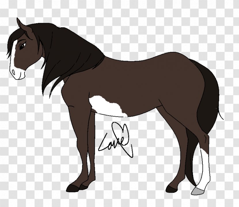 Mustang Stallion Pony Foal Colt - Horse - Spirit Transparent PNG