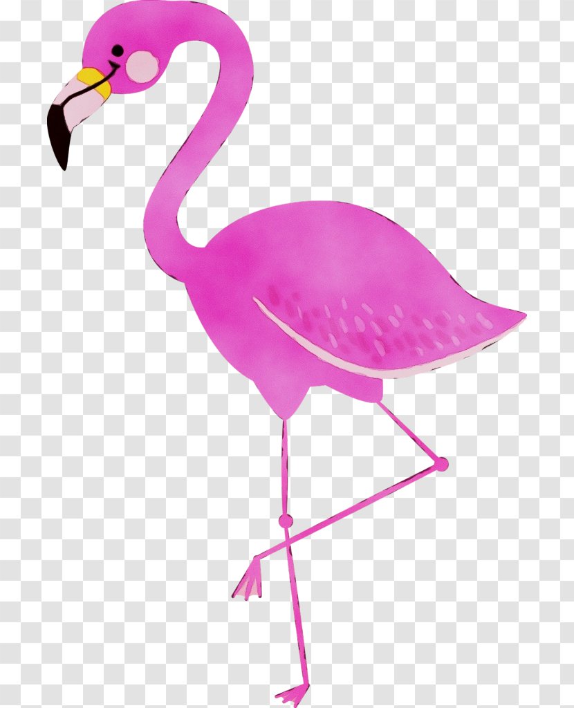 Phoenicopterus Bird Drawing Clip Art - Greater Flamingo Transparent PNG