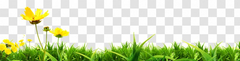 Image Design Poster Royalty-free JPEG - Grass Field Transparent PNG