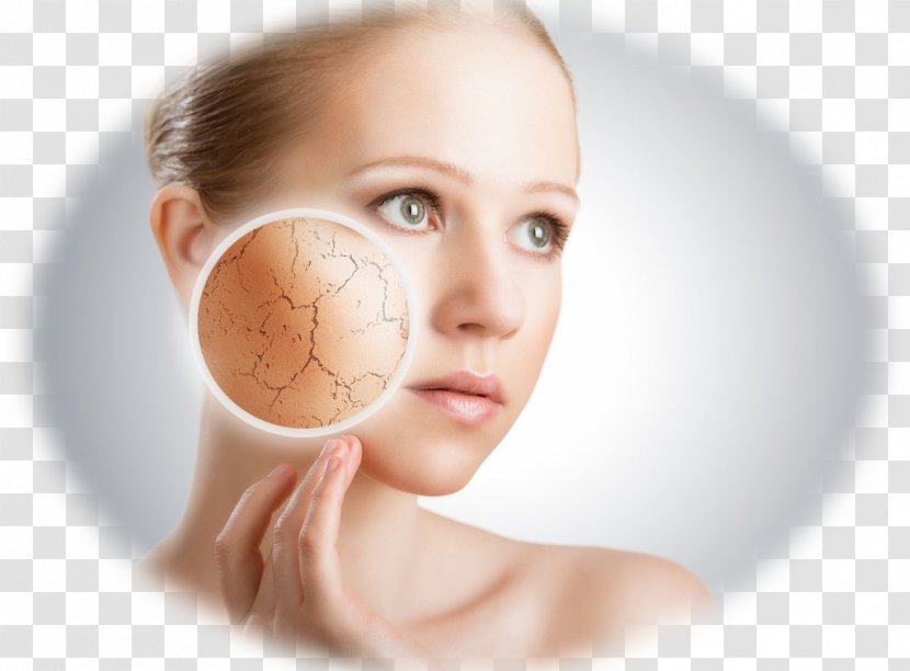 Cosmetics Dermatology Sunscreen Lotion Medicine - Skin - My Transparent PNG