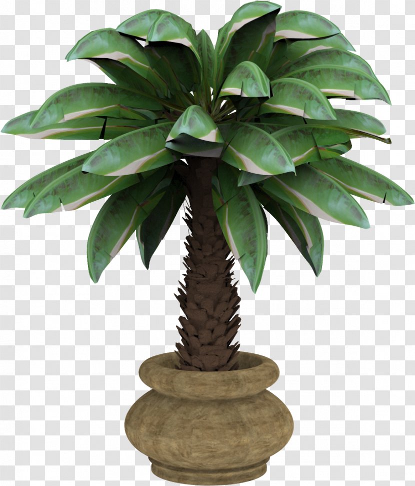 Houseplant Arecaceae Flowerpot Restaurant De Beren - Email - Banana Tree Transparent PNG