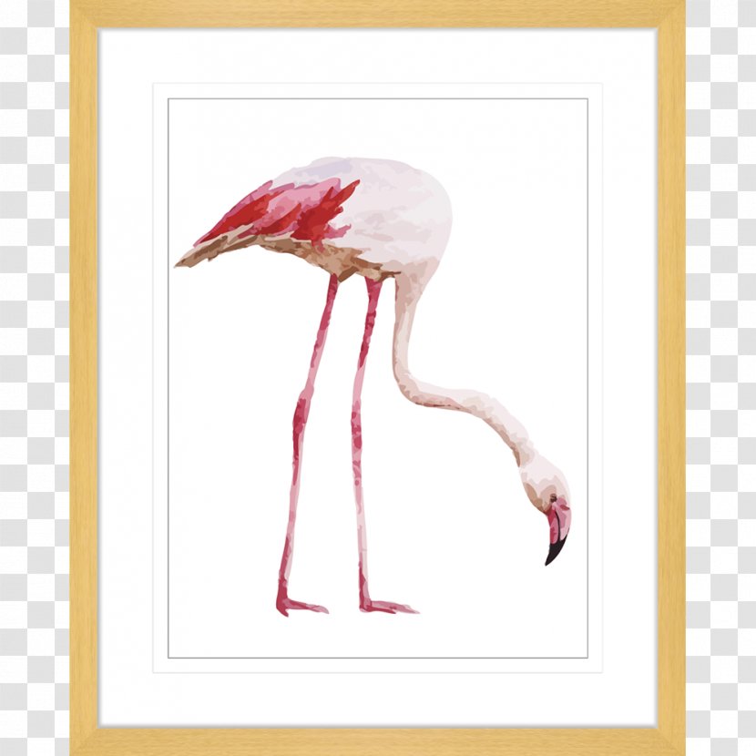 Flamingo Desktop Wallpaper Drawing - Water Bird - Watercolour Birds Transparent PNG