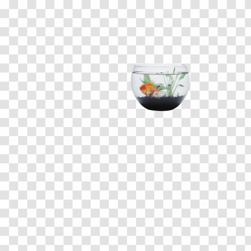 Aquarium Fishkeeping - Material - Fish Tank Transparent PNG