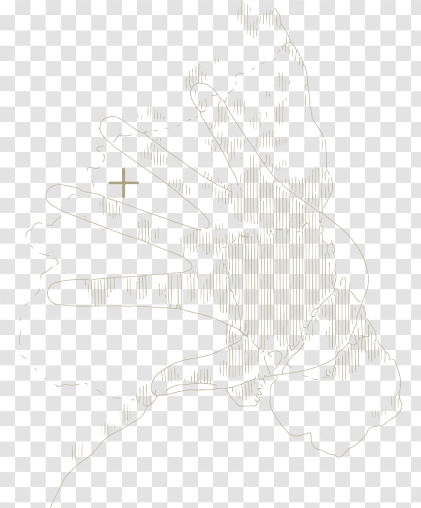 White Sketch - Design Transparent PNG