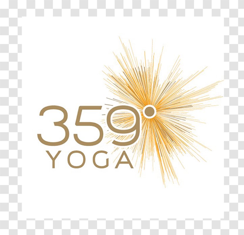 359 Degree Yoga Ashtanga Vinyasa Henry Ford Wyandotte Hospital Health System Transparent PNG