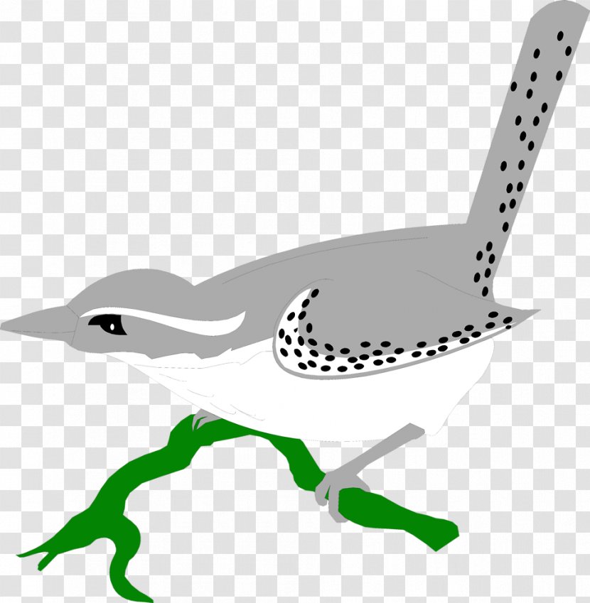 Wren Bird Feather Wing Clip Art - Ducks Geese And Swans Transparent PNG