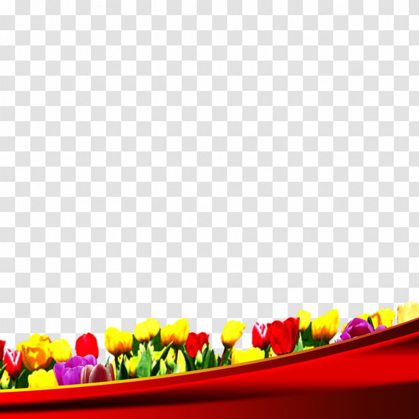 Tulip Download Wallpaper - Gummi Candy Transparent PNG