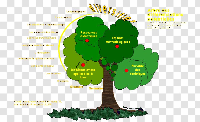 Tree Pedagogy Education Teacher Homework - Estimation Transparent PNG