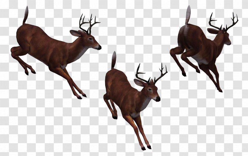 Reindeer Horse - Silhouette - Cartoon Pictures Transparent PNG