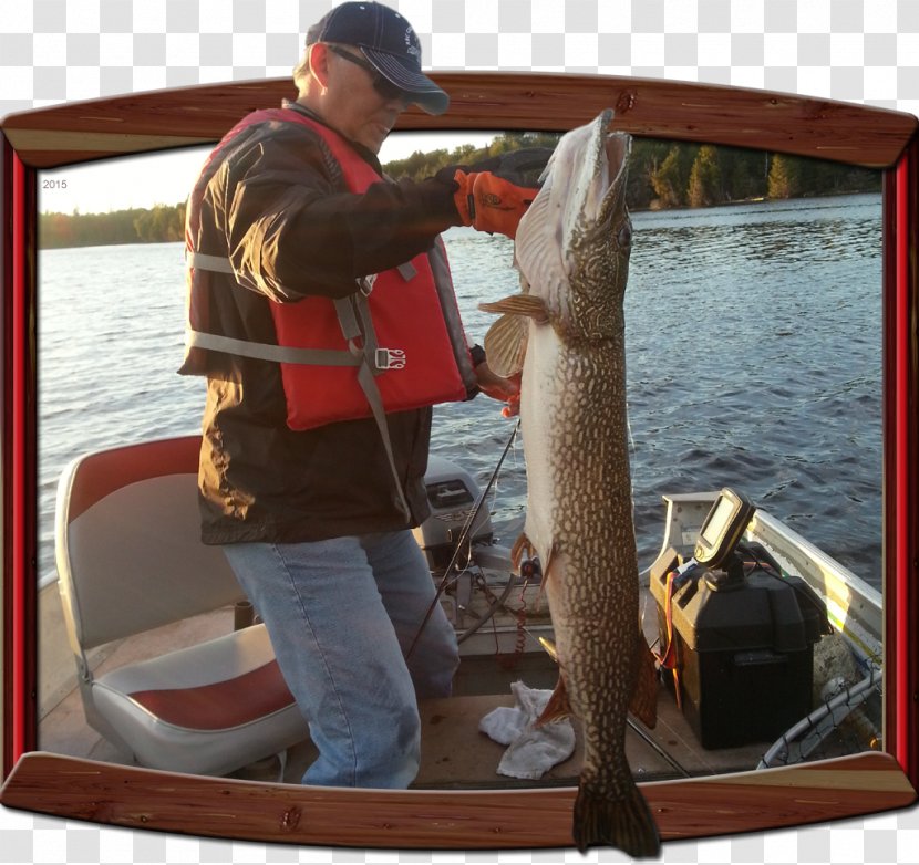 Fishing Red Cedar Lake Northern Pike Ontario Memesagamesing - Accommodation Transparent PNG