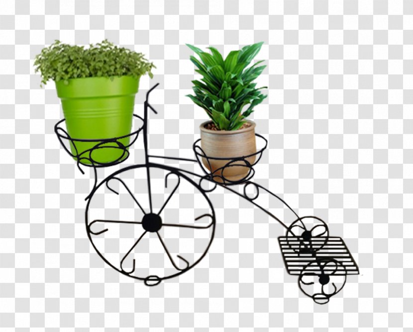 Flowerpot Tree Grasses Herb - Family Transparent PNG