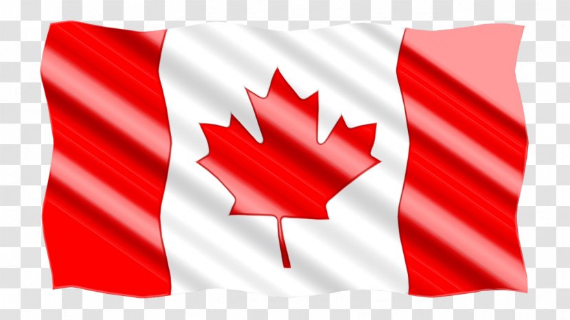 Flag Of Canada Image - Electronic Travel Authorization - Tree Transparent PNG