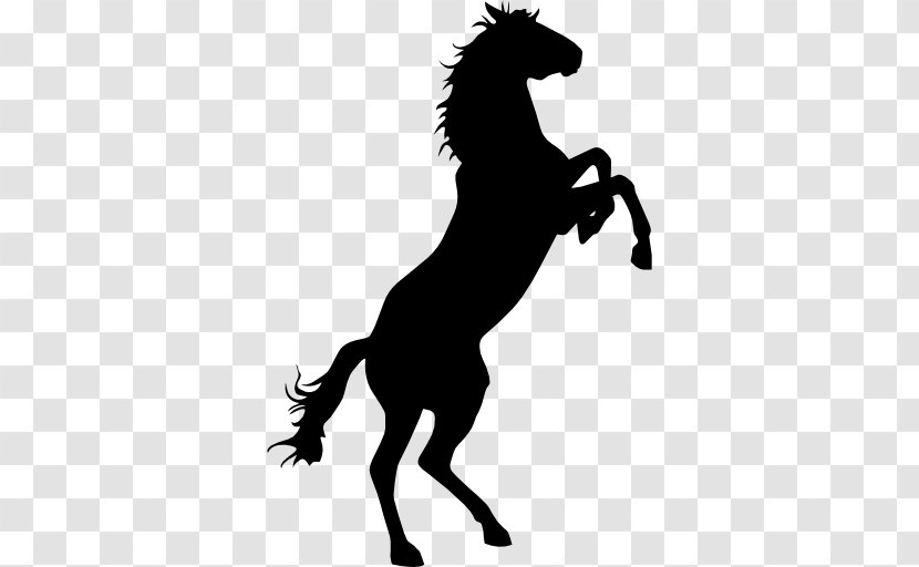 Standing Horse Ragdoll Clip Art - Stallion - Animal Silhouettes Transparent PNG