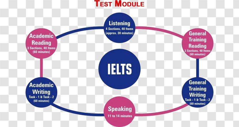 International English Language Testing System Assessment TOEIC - Area Transparent PNG