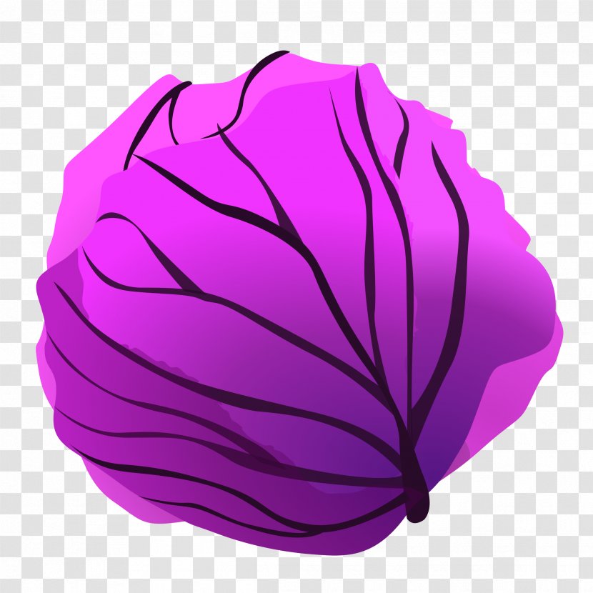 Red Cabbage Savoy Cauliflower Clip Art Transparent PNG