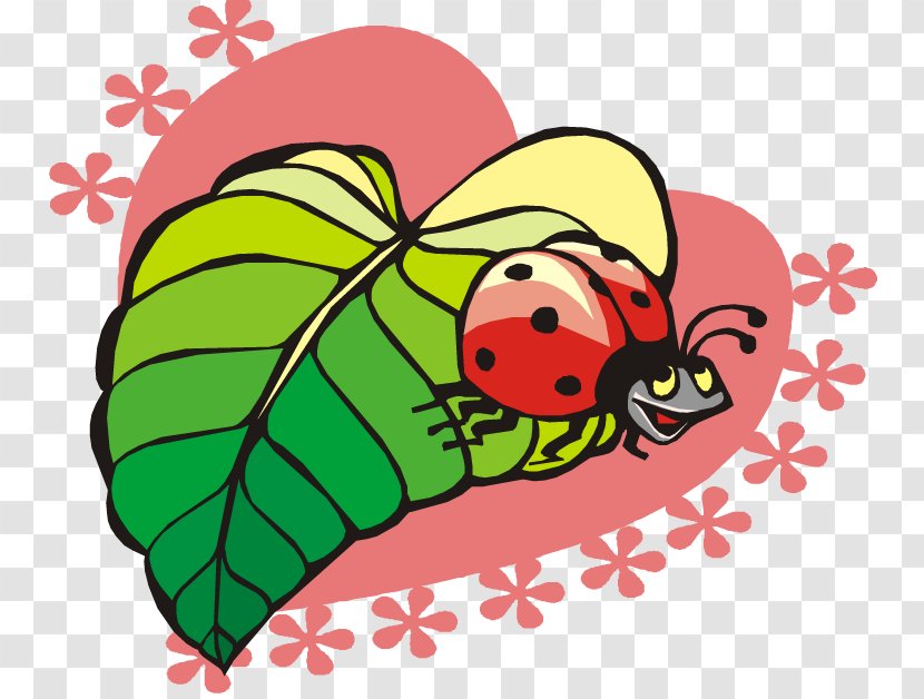 Ladybird Animation Insect Clip Art - Organism Transparent PNG
