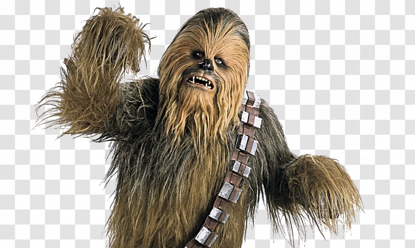 Chewbacca Star Wars Day Wookiee Luke Skywalker - Paper Cylinder Columns Transparent PNG