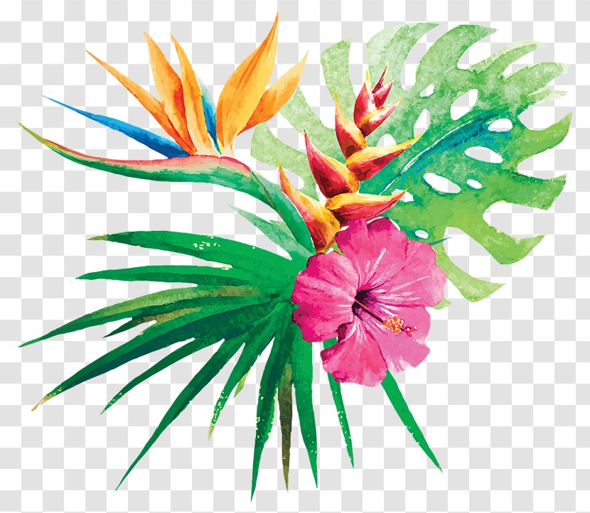Flower Tropics - Petal Transparent PNG