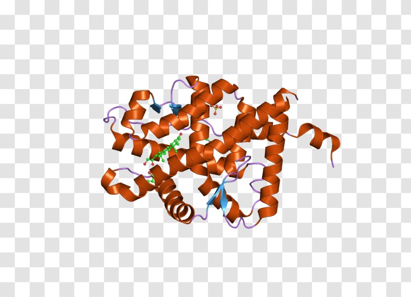 Mineralocorticoid Receptor Aldosterone Nuclear - My Chemical Romance Transparent PNG