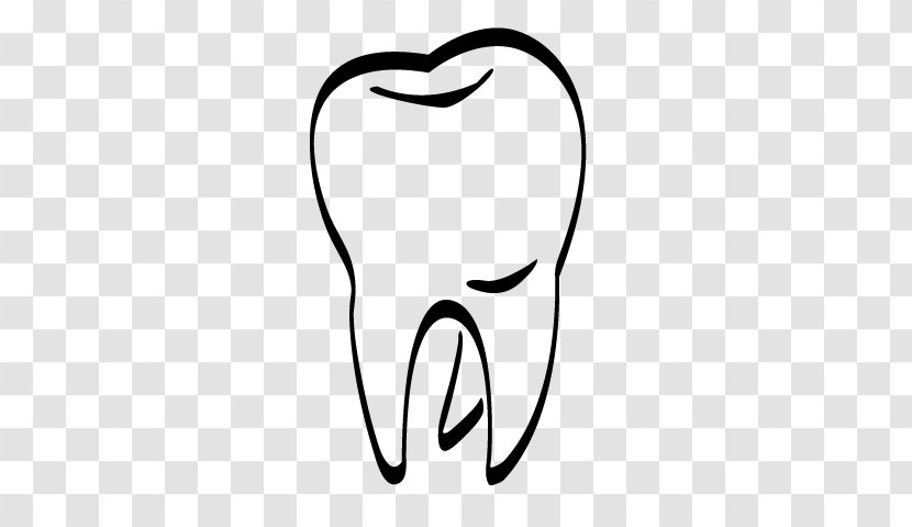 Human Tooth Dentistry Decay - Cartoon - Toothbrush Transparent PNG
