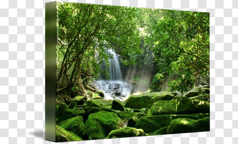 Sue's Healing Haven National Park Of American Samoa United States Waterfall - Stock Photography - Scenery Transparent PNG