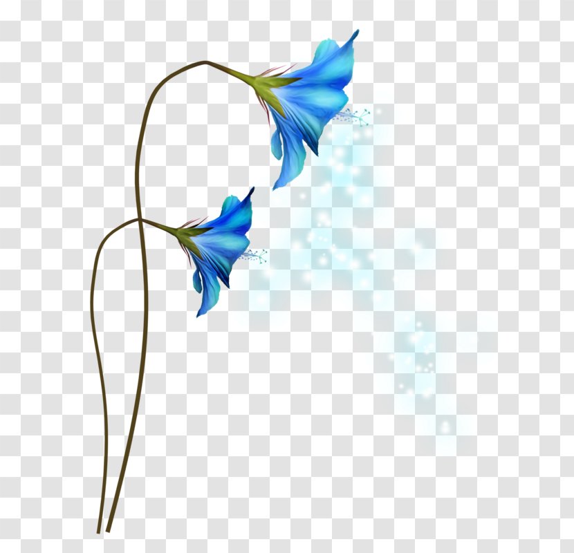Clip Art Flower Desktop Wallpaper Petal - Plants Transparent PNG