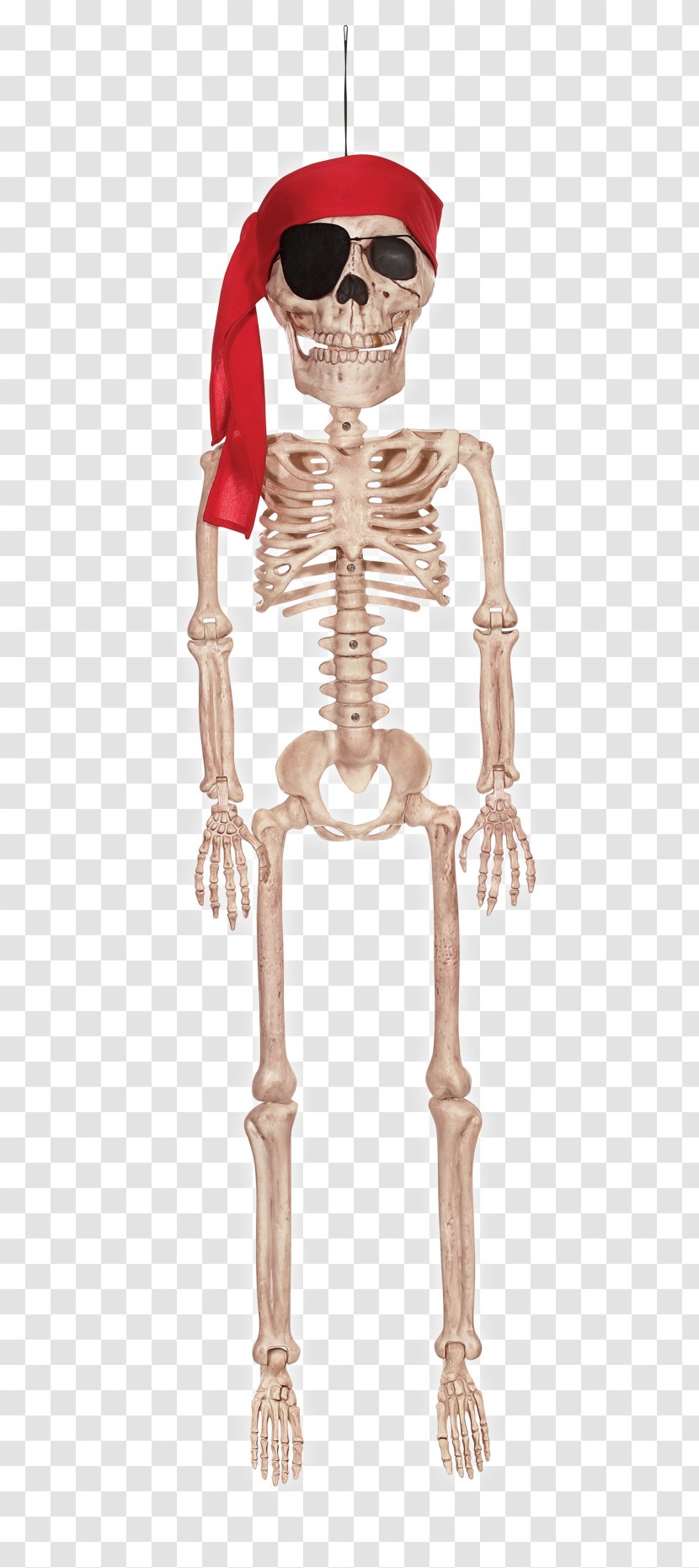 Crazy Bonez Pirate Skeleton Jr Shoulder - Bone - Skelleton Transparent PNG
