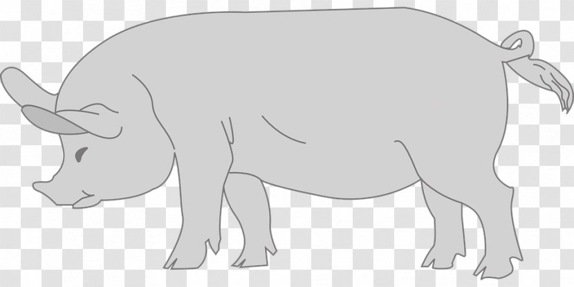 Pig Cattle Clip Art - Grey Transparent PNG