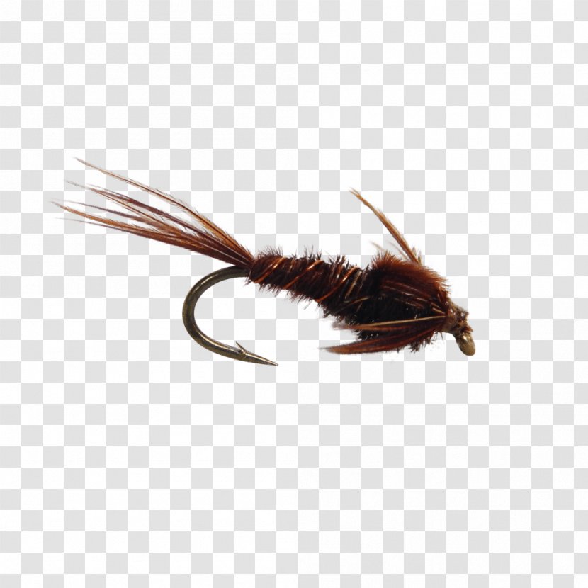 Artificial Fly Fishing Pheasant Tail Nymph Tying - Hackle Transparent PNG