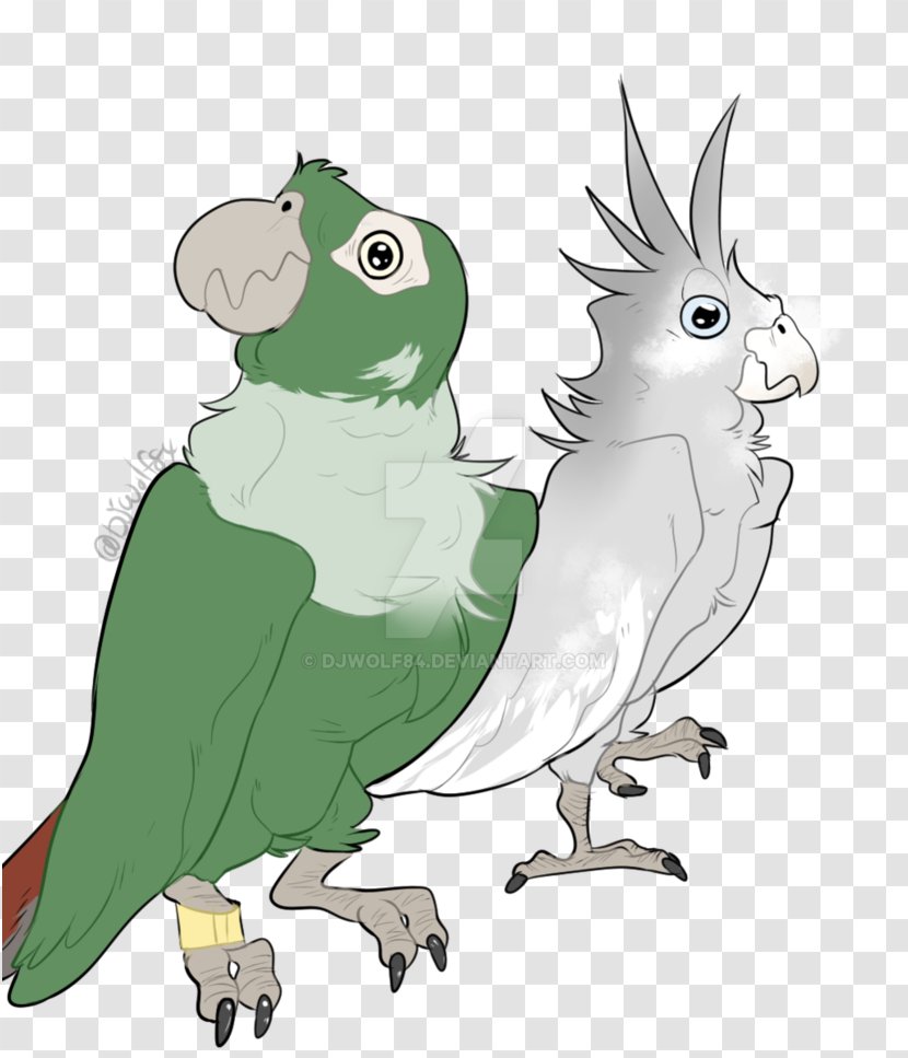 Cockatiel Owl Macaw Beak - Wing Transparent PNG
