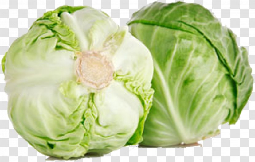 Kale Vegetable Eating Food Cabbage - Red Transparent PNG