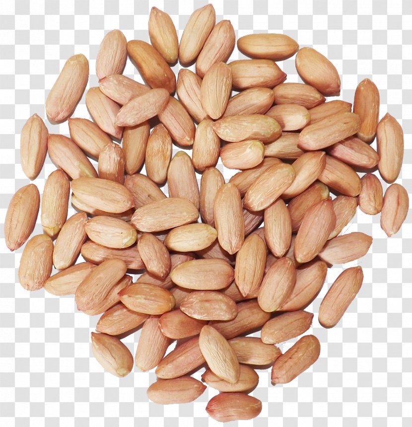 Peanut Superfood Ingredient - Almond Transparent PNG