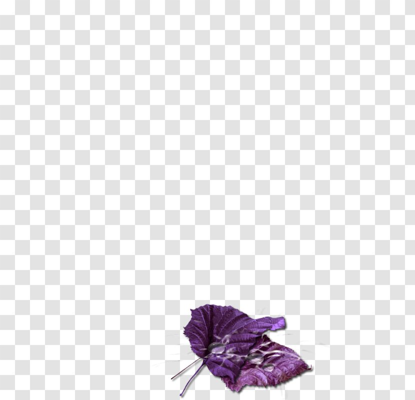 Petal Cut Flowers Violet - Magenta - Family Transparent PNG