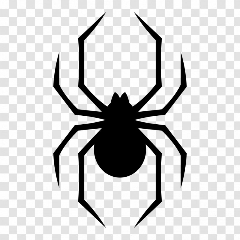 Spider Southern Black Widow Vector Graphics Stock Photography Illustration - Royalty Payment - Logo Svg Files Transparent PNG