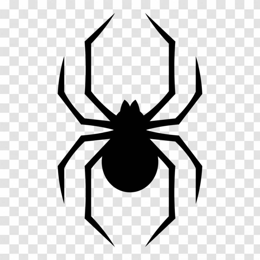 Spider Southern Black Widow Vector Graphics Stock Photography Illustration Royalty Payment Logo Svg Files Transparent Png