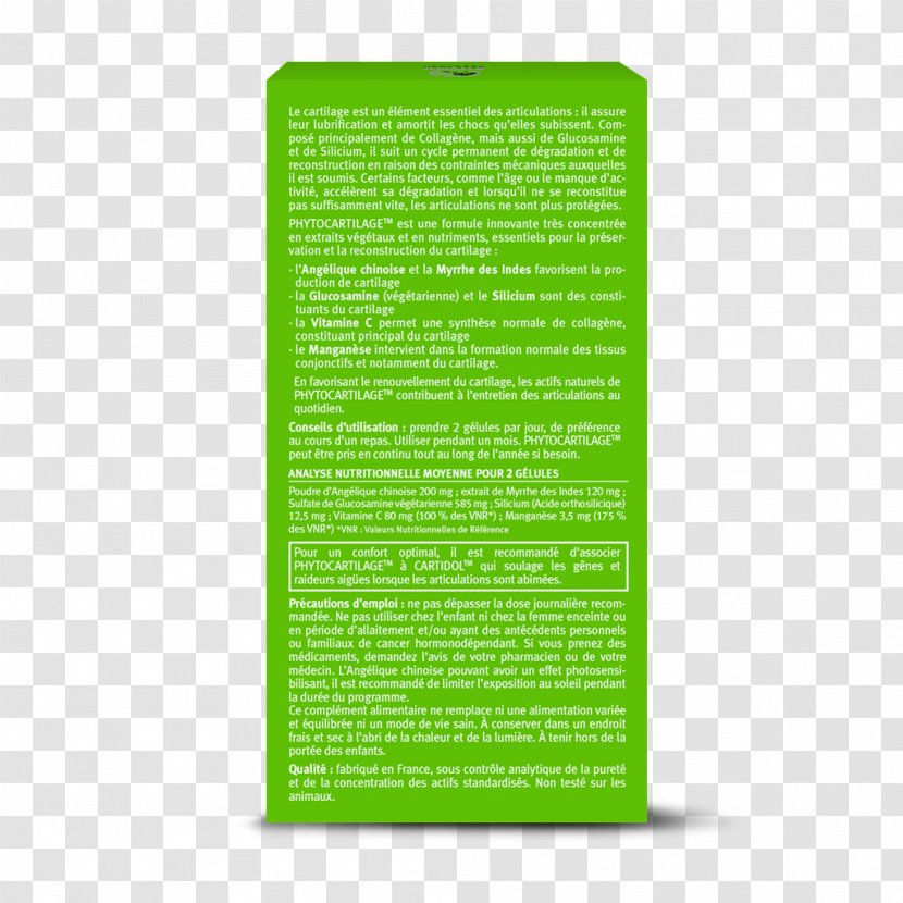 Green Font - Grass - Meniscus Transparent PNG