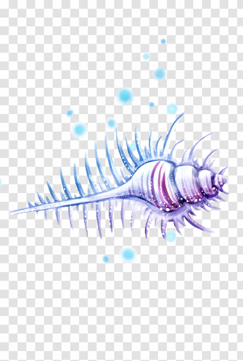 Cartoon Graphic Design - Blue - Conch Transparent PNG