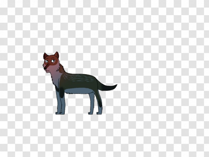 Whiskers Cat Red Fox Fauna Wildlife Transparent PNG