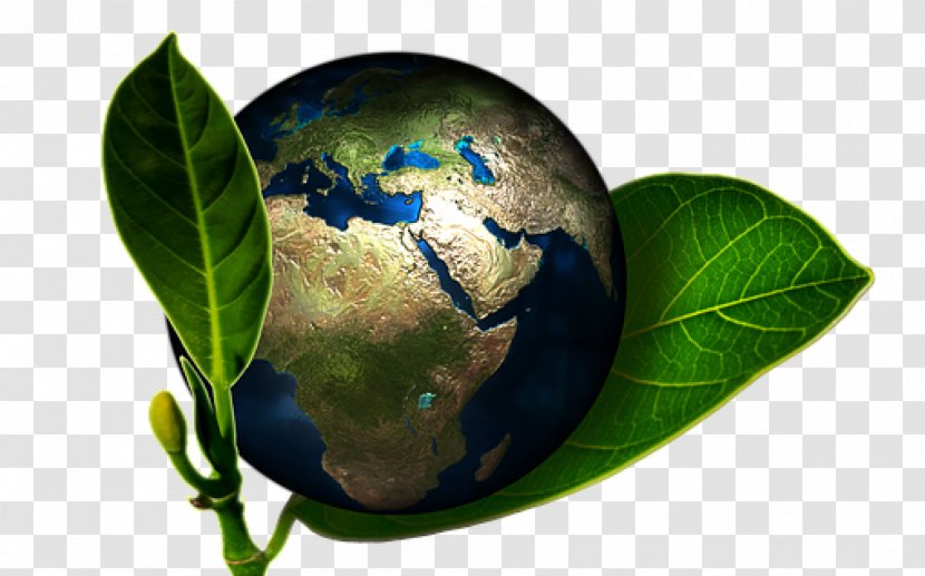 Earth Conservation Natural Environment Environmental Protection Nature - Ecology Transparent PNG