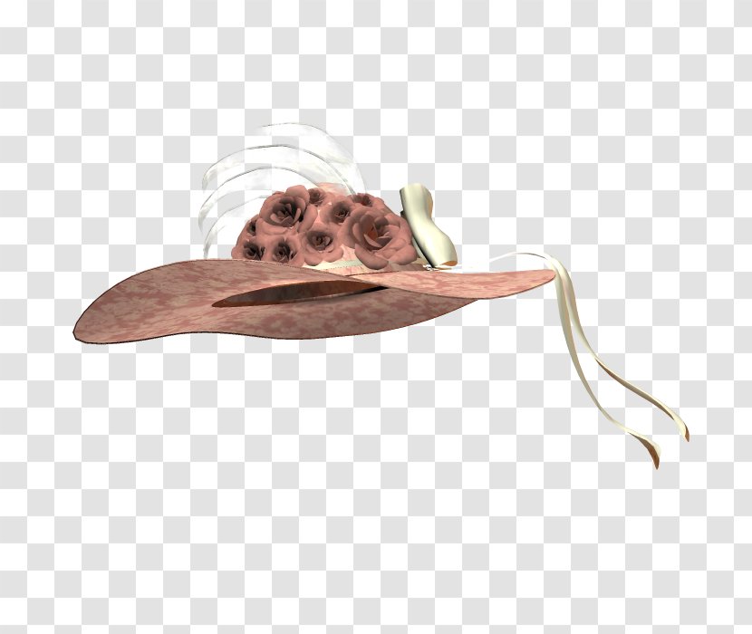 Hat - Headgear - Gorro Transparent PNG