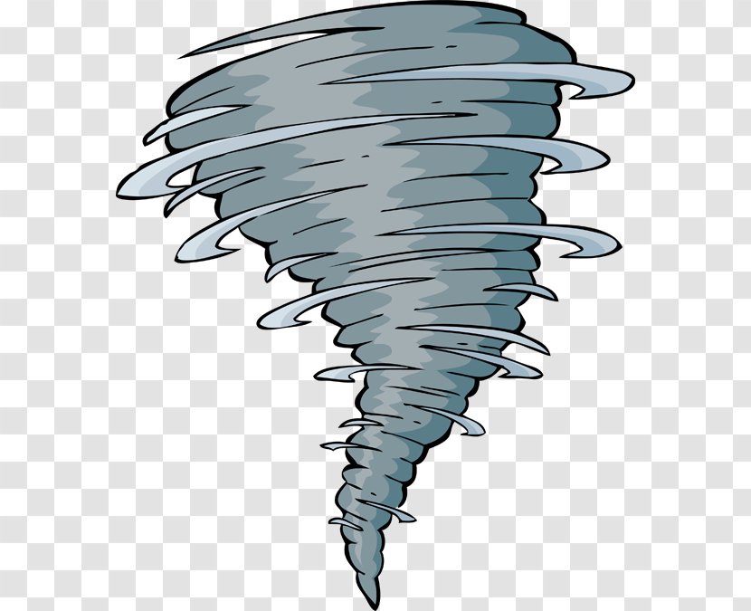 Tornado Clip Art - Wing - Severe Weather Cliparts Transparent PNG
