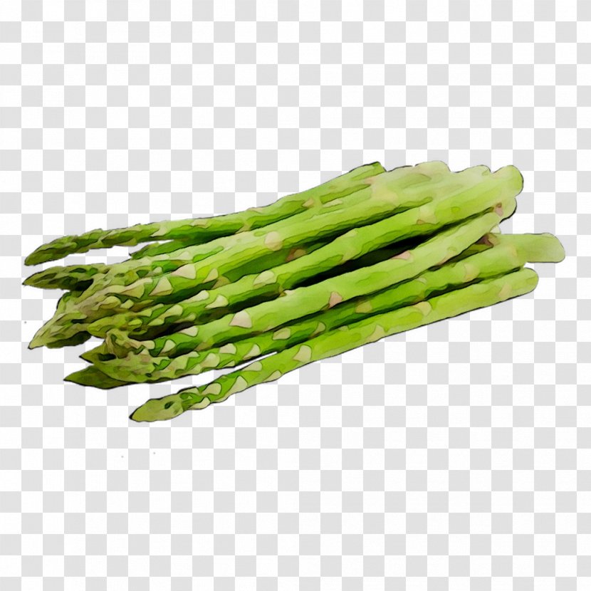 Green Bean Asparagus Nutrient Vegetable Food - Plant Transparent PNG