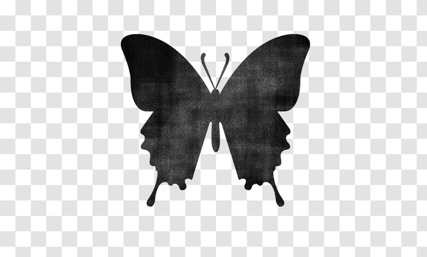 Butterfly Insect Silhouette Transparent PNG