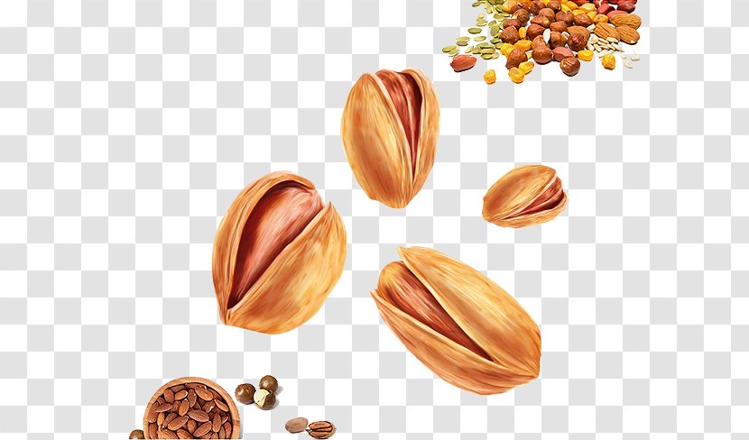 Pistachio Walnut Food - Nuts - And Pistachios Transparent PNG