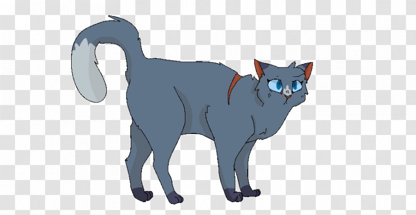 Whiskers Kitten Cat Ravenpaw Spottedleaf - Paw - Warrior Cats Transparent PNG